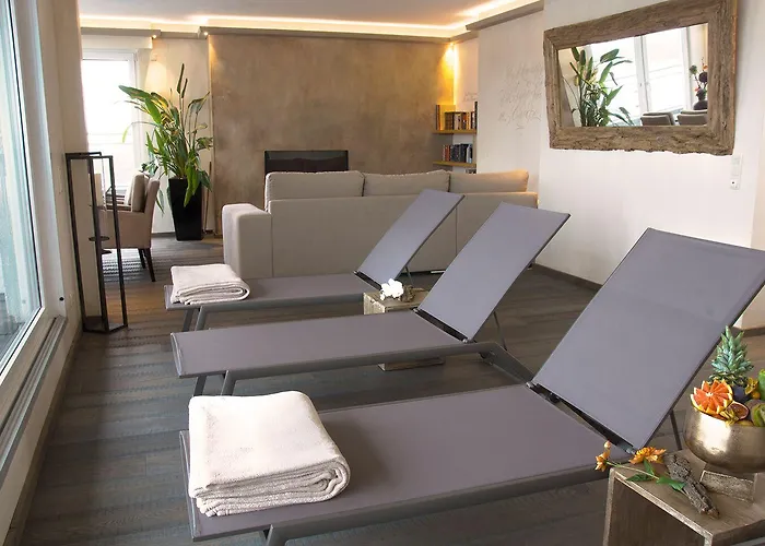 Hotel Rheinpark 4*